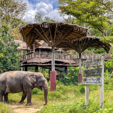 Santuario degli Elefanti